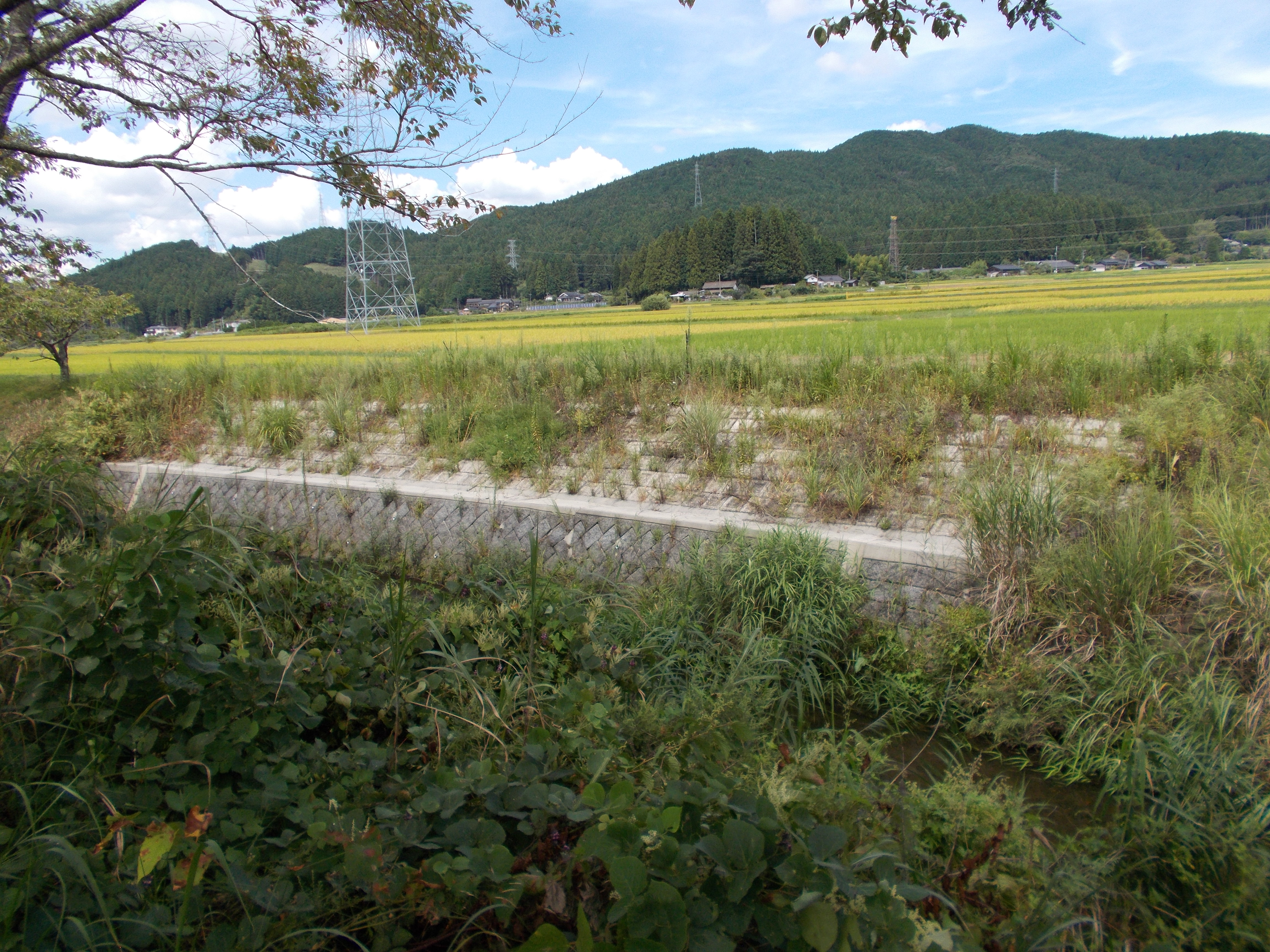 河川局部改修工事の内測量及び設計業務委託